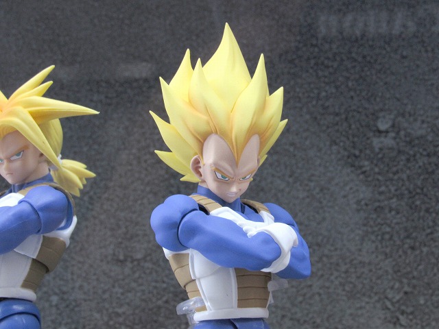 魂フィーチャーズ2016 S.H.フィギュアーツ ドラゴンボール