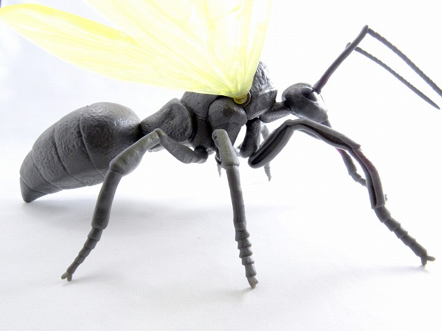 3.75インチ　マーベル・インフィニット ボックスセット アントマン＆アント　marvel infinite antman ant review　MonsterArts レビュー 