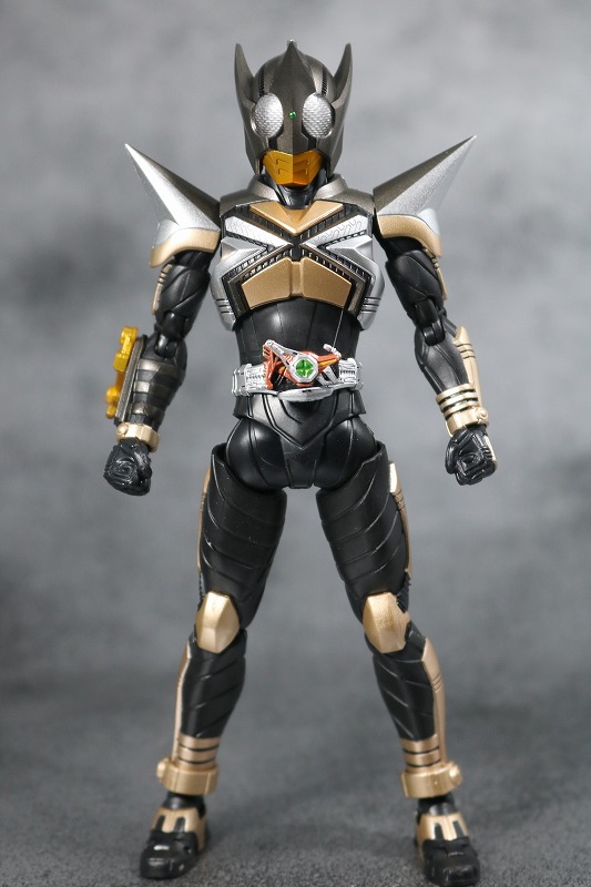 S.H.フィギュアーツ　仮面ライダーパンチホッパー　真骨彫製法　レビュー