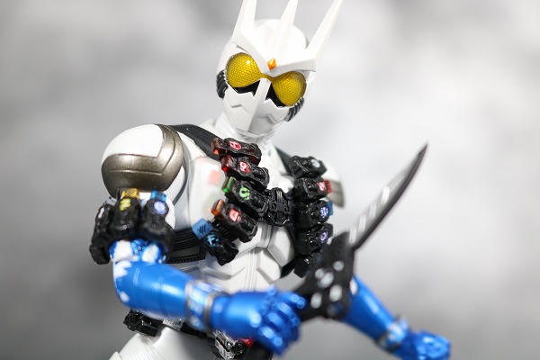 S.H.フィギュアーツ　仮面ライダーエターナル　真骨彫製法　レビュー　アクション 