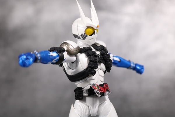 S.H.フィギュアーツ　仮面ライダーエターナル　真骨彫製法　レビュー　可動 