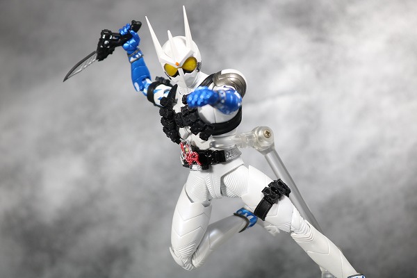 S.H.フィギュアーツ　仮面ライダーエターナル　真骨彫製法　レビュー　アクション 