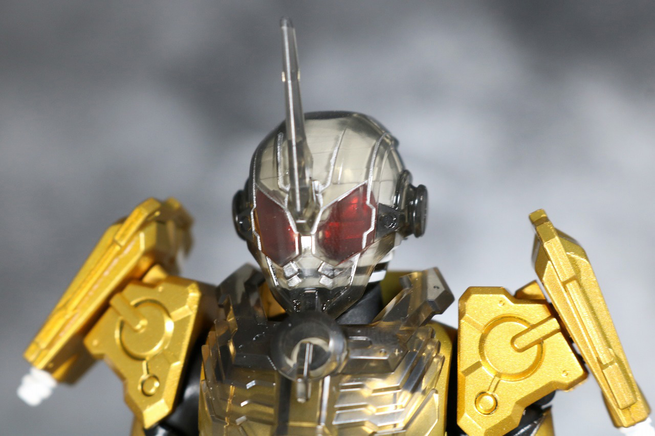 S.H.フィギュアーツ　仮面ライダーグリス　レビュー　全身