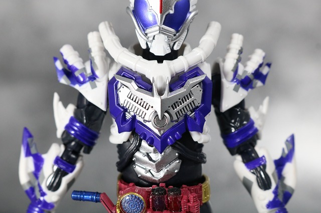 S.H.フィギュアーツ　仮面ライダーマッドローグ　レビュー　全身