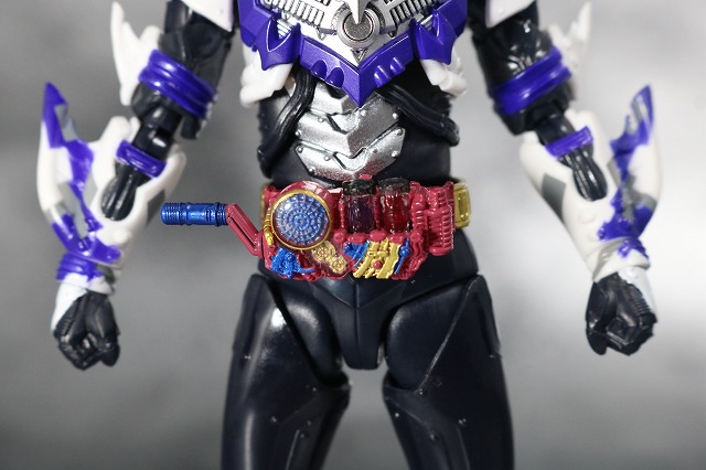 S.H.フィギュアーツ　仮面ライダーマッドローグ　レビュー　全身