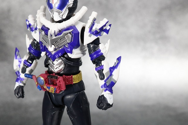 S.H.フィギュアーツ　仮面ライダーマッドローグ　レビュー　全身