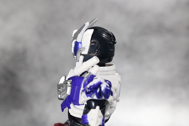 S.H.フィギュアーツ　仮面ライダーマッドローグ　レビュー　全身　頭部