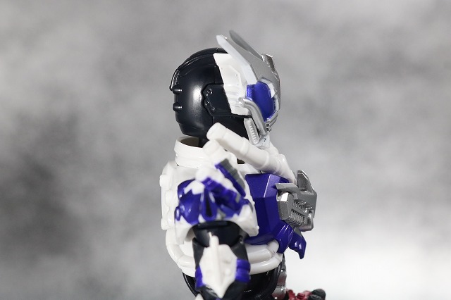 S.H.フィギュアーツ　仮面ライダーマッドローグ　レビュー　全身　頭部