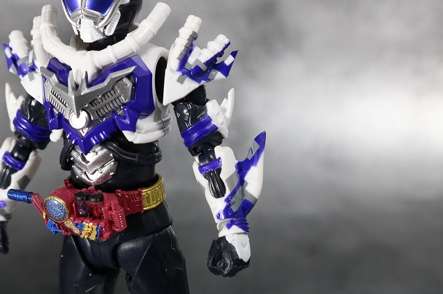 S.H.フィギュアーツ　仮面ライダーマッドローグ　レビュー　全身