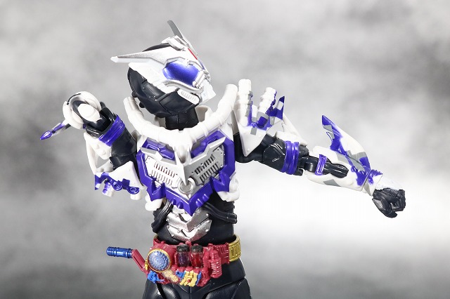 S.H.フィギュアーツ　仮面ライダーマッドローグ　レビュー　可動範囲