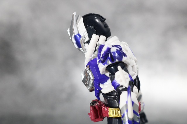 S.H.フィギュアーツ　仮面ライダーマッドローグ　レビュー　可動範囲