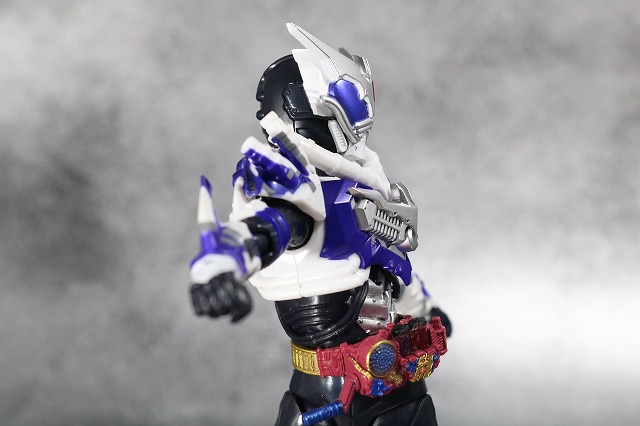 S.H.フィギュアーツ　仮面ライダーマッドローグ　レビュー　可動範囲