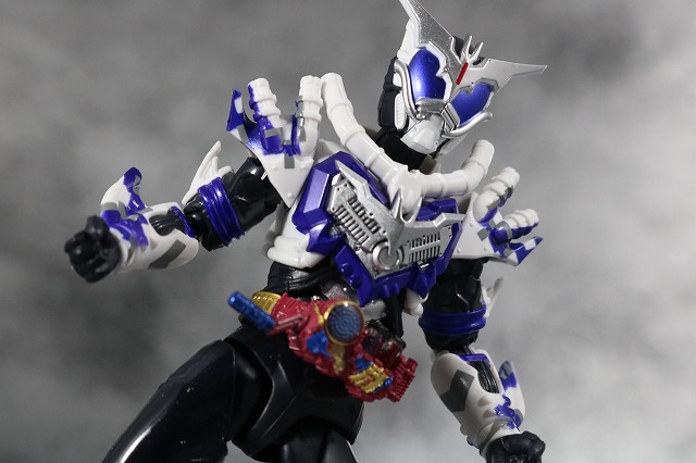 S.H.フィギュアーツ　仮面ライダーマッドローグ　レビュー　アクション