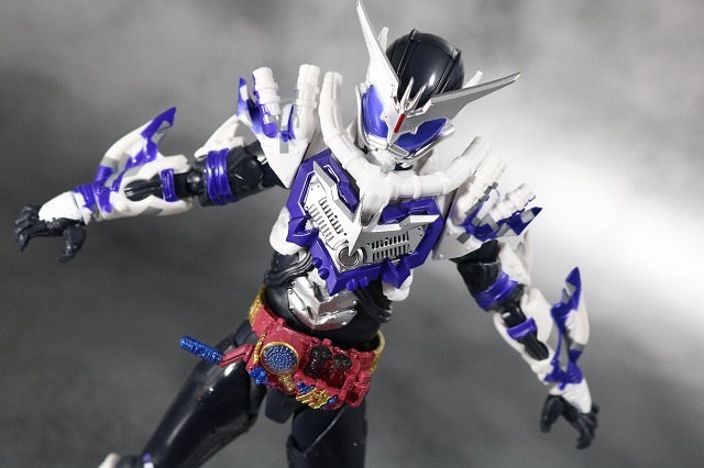 S.H.フィギュアーツ　仮面ライダーマッドローグ　レビュー　アクション