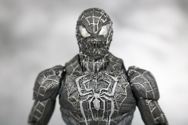 MOVIE REALIZATION　スパイダーマン　ブラックスパイダーマン　レビュー　付属品　差し替え頭部