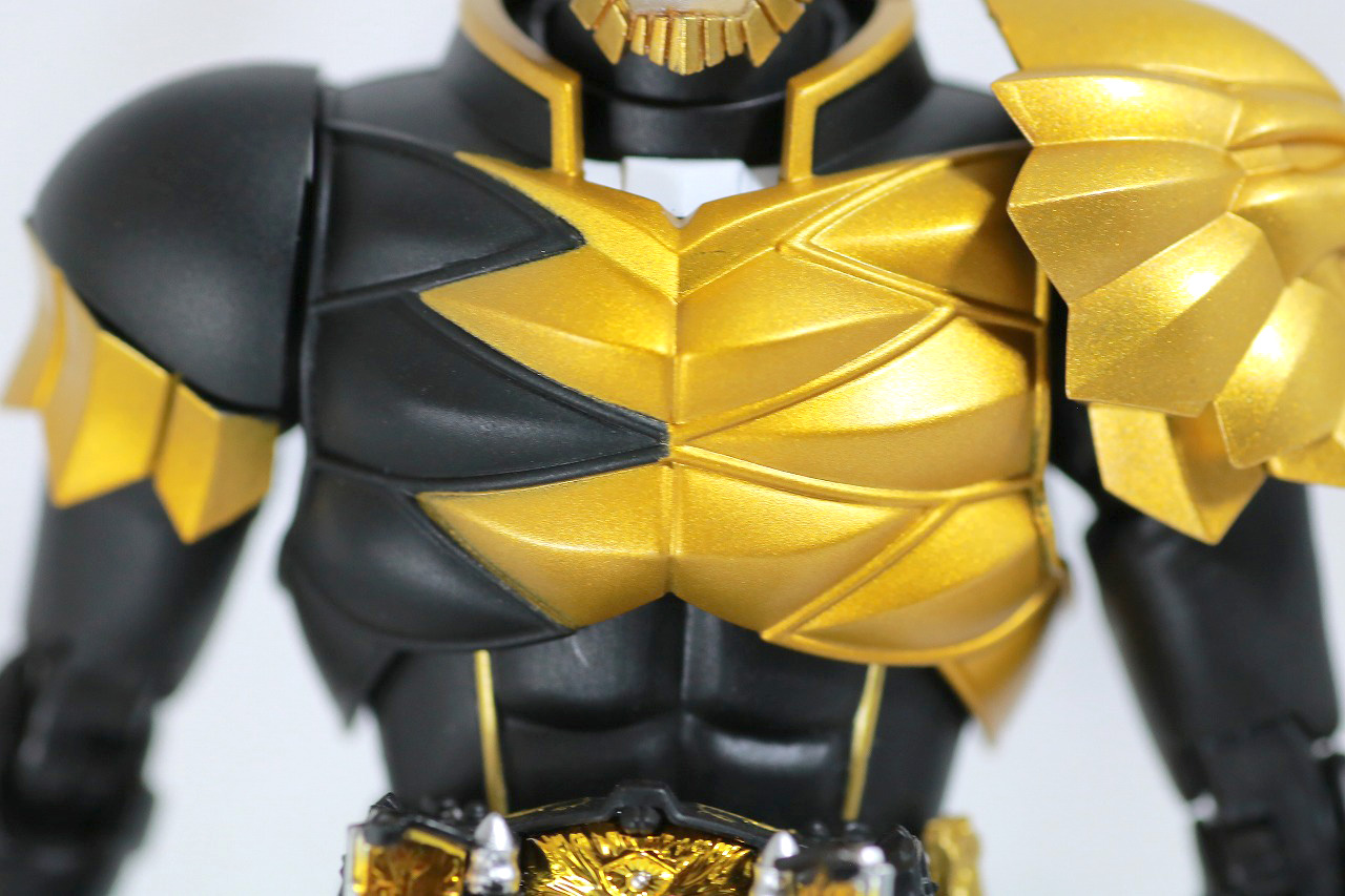 S.H.フィギュアーツ　仮面ライダービースト　真骨彫製法　レビュー　全身