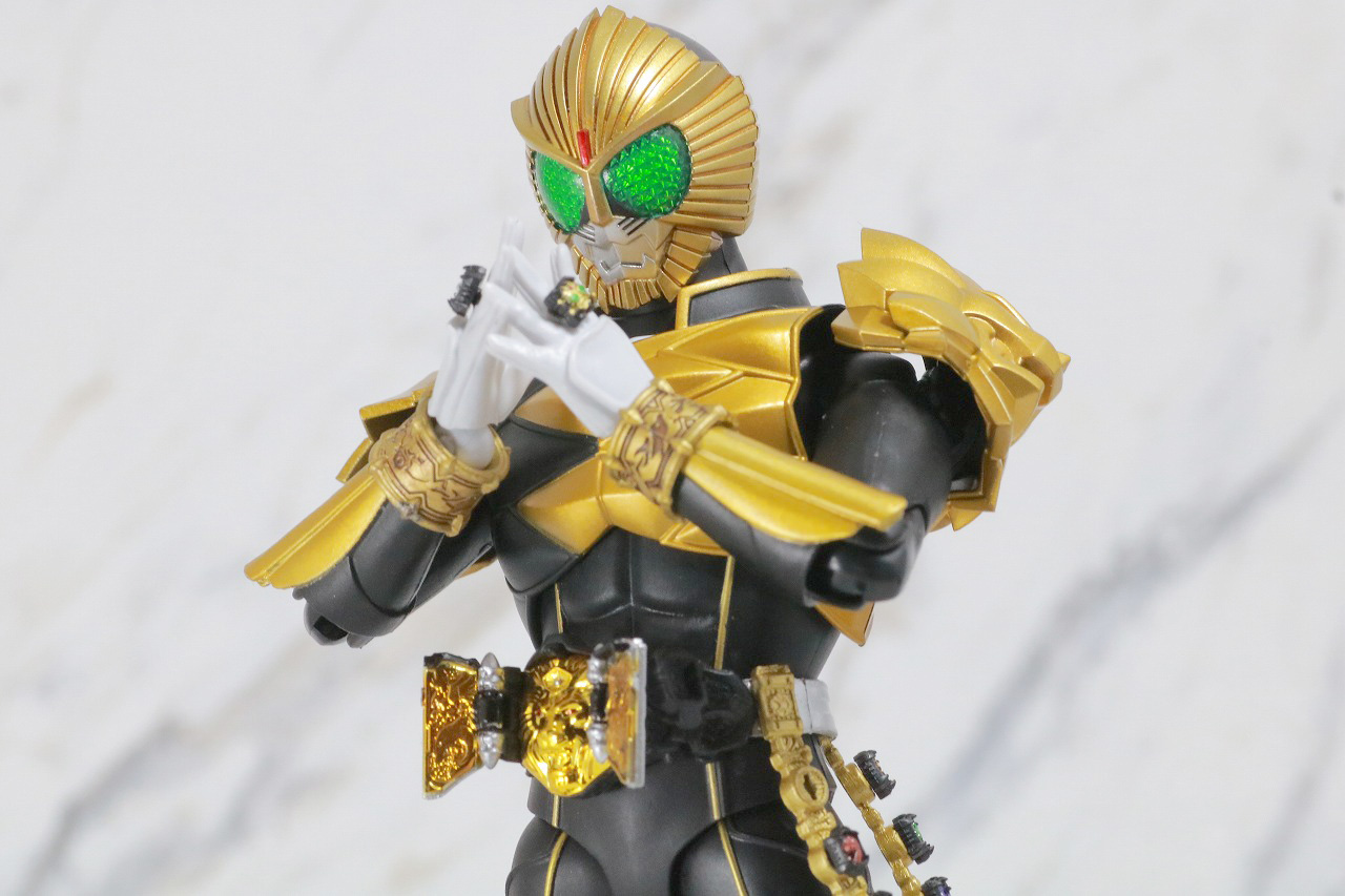 S.H.フィギュアーツ　仮面ライダービースト　真骨彫製法　レビュー　アクション