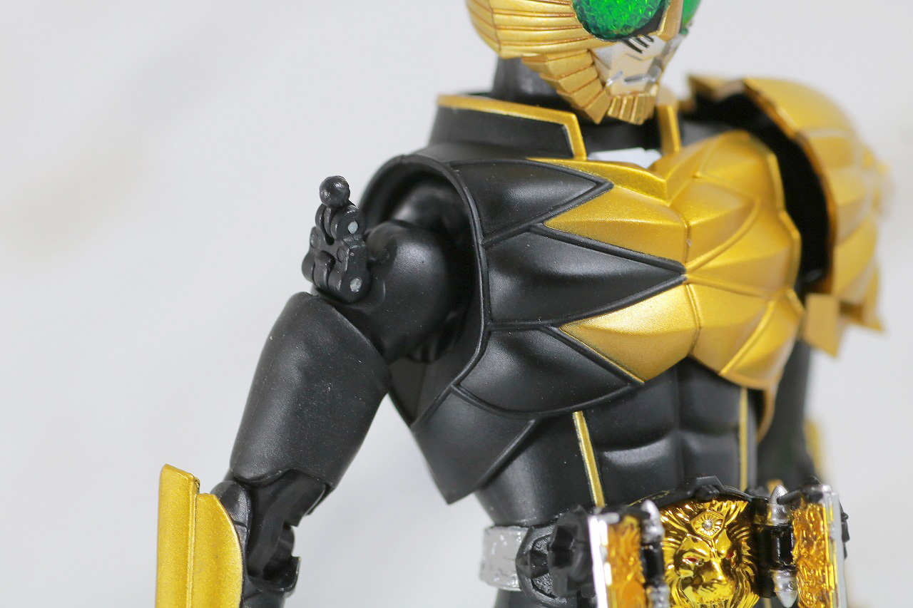 S.H.フィギュアーツ　仮面ライダービースト　マントセット　真骨彫製法　レビュー　全体