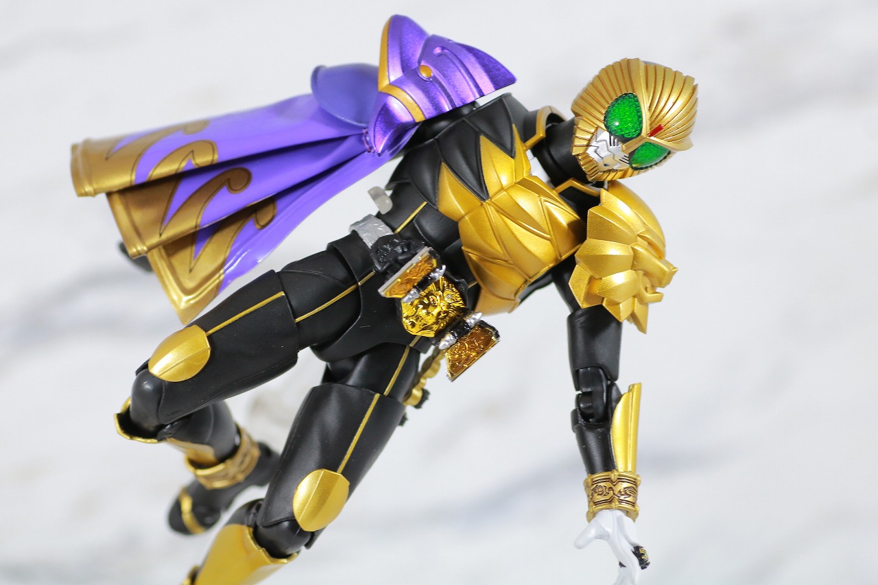 S.H.フィギュアーツ　仮面ライダービースト　マントセット　真骨彫製法　レビュー　アクション　ドルフィン