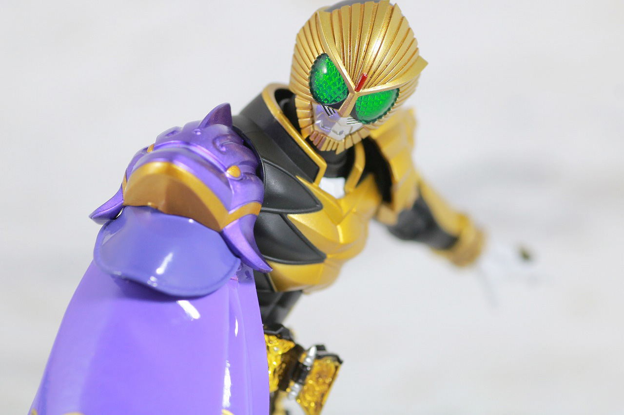 S.H.フィギュアーツ　仮面ライダービースト　マントセット　真骨彫製法　レビュー　アクション　ドルフィン