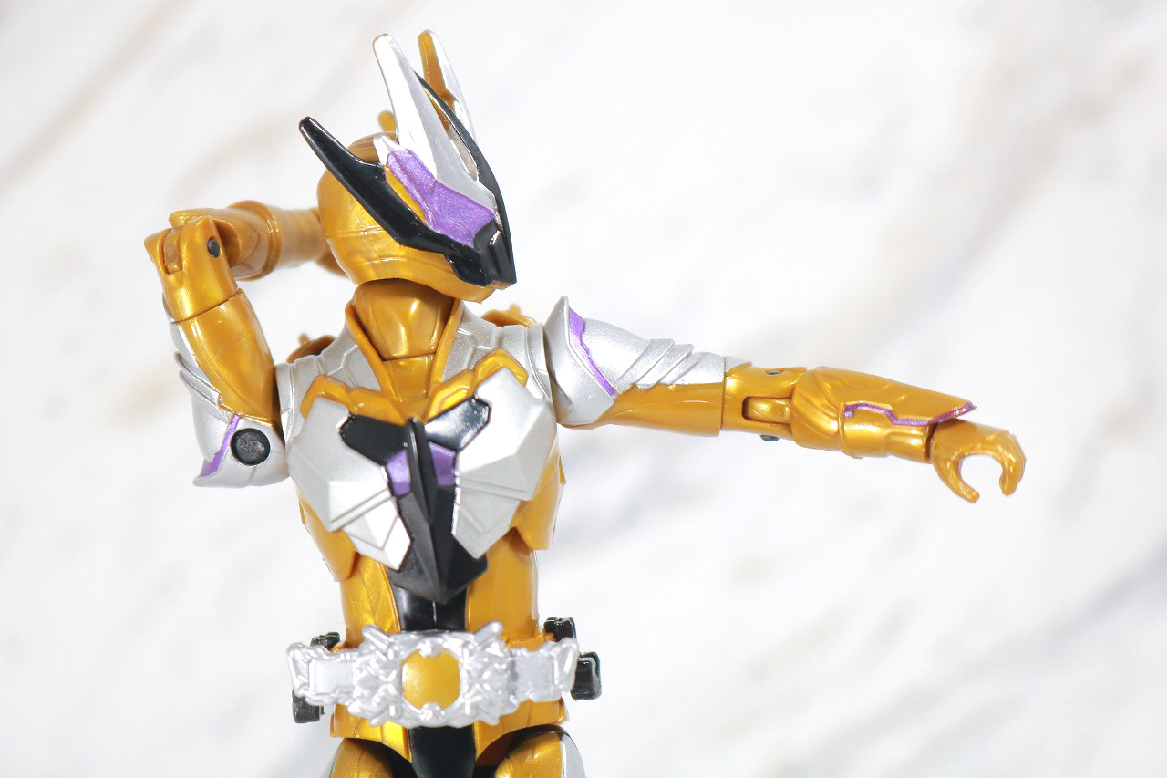 RKF　RIDER KICK'S FIGURE　仮面ライダーサウザー　レビュー　可動範囲