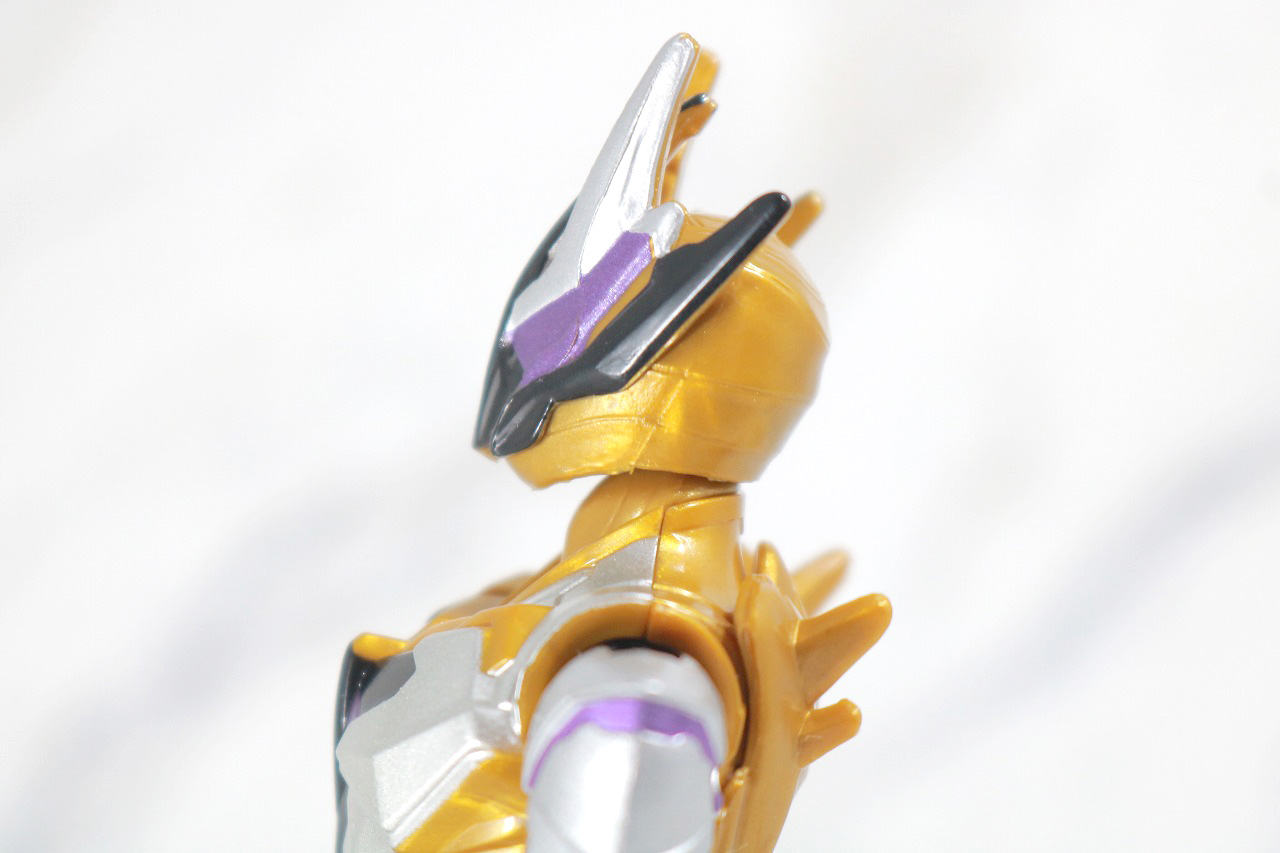 RKF　RIDER KICK'S FIGURE　仮面ライダーサウザー　レビュー　可動範囲