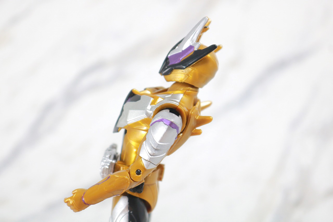 RKF　RIDER KICK'S FIGURE　仮面ライダーサウザー　レビュー　可動範囲