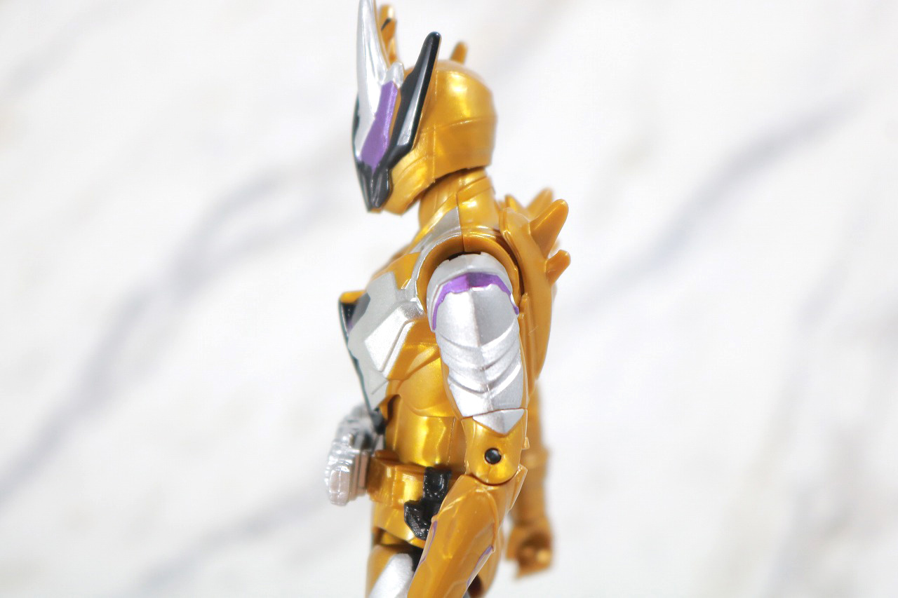 RKF　RIDER KICK'S FIGURE　仮面ライダーサウザー　レビュー　可動範囲