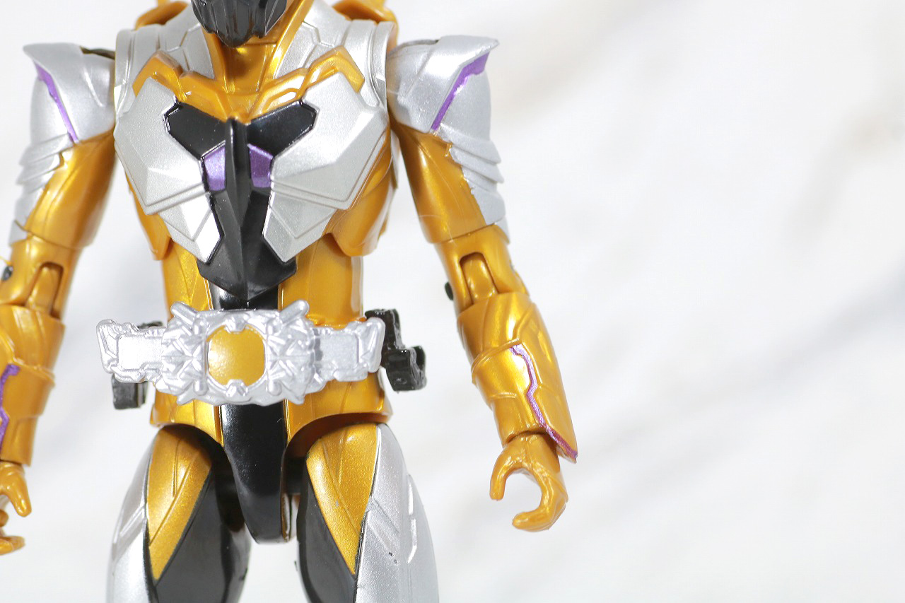 RKF　RIDER KICK'S FIGURE　仮面ライダーサウザー　レビュー　全身