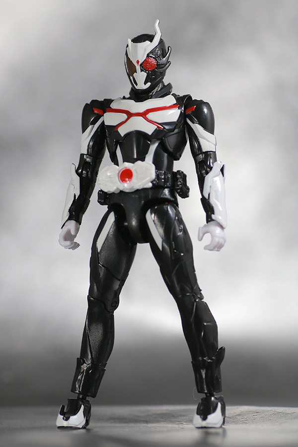 RKF　仮面ライダーアークワン　シンギュライズセット　レビュー　全身