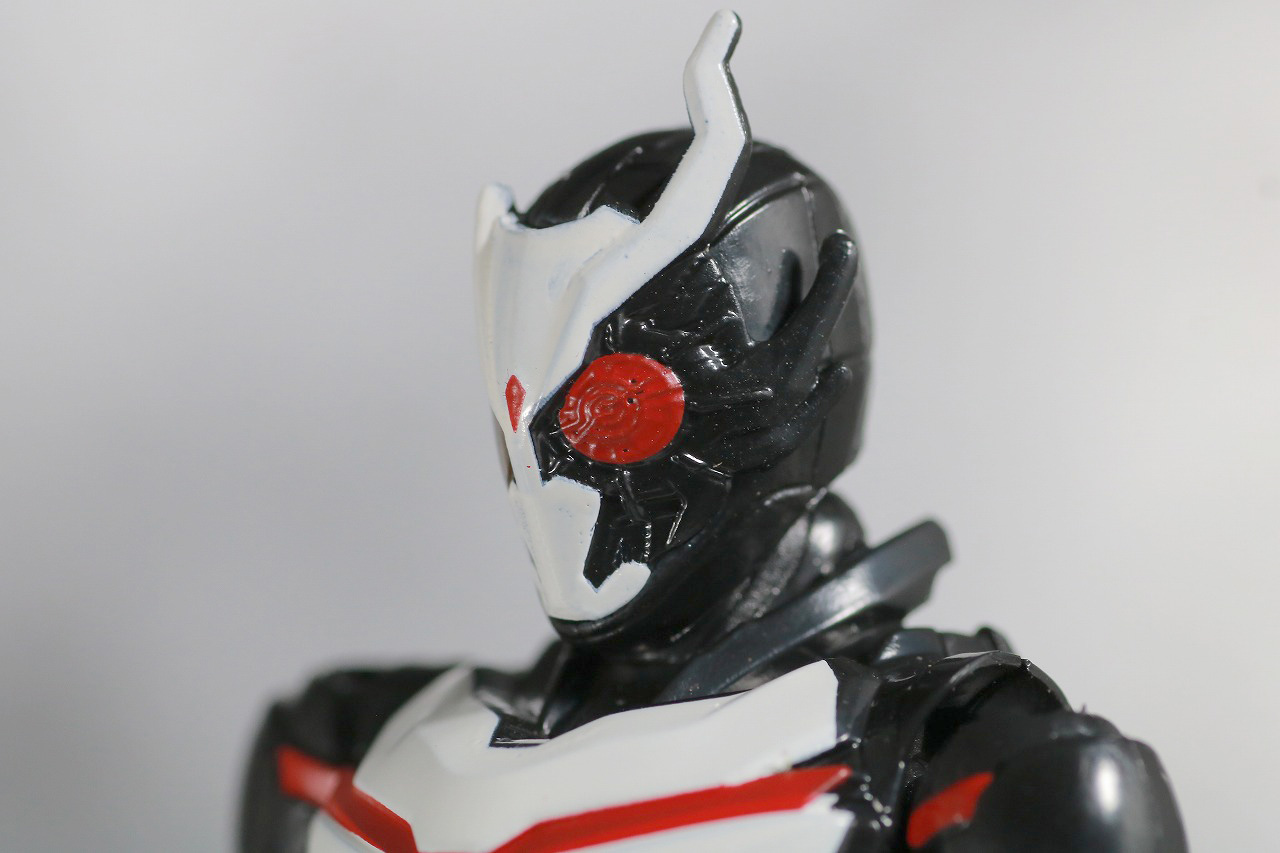 RKF　仮面ライダーアークワン　シンギュライズセット　レビュー　全身