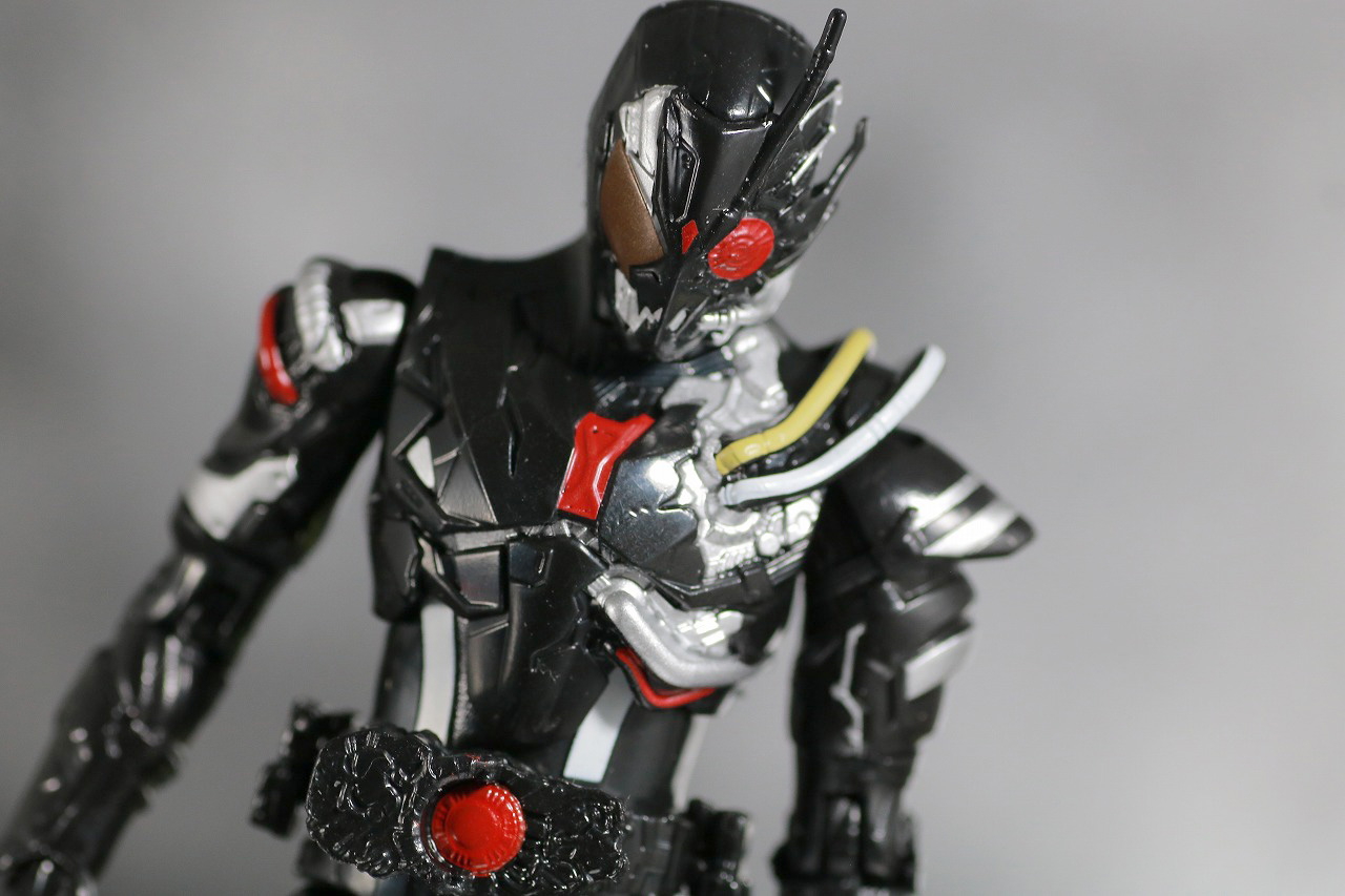 RKF　仮面ライダーアークワン　シンギュライズセット　アークゼロ　レビュー　アクション