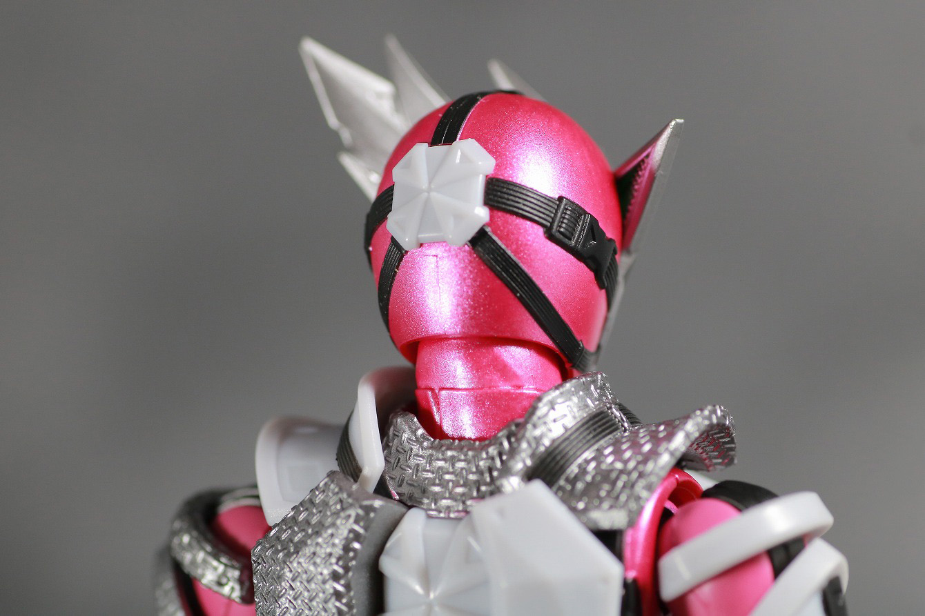 S.H.フィギュアーツ　仮面ライダー迅　フライングファルコン　レビュー　全身