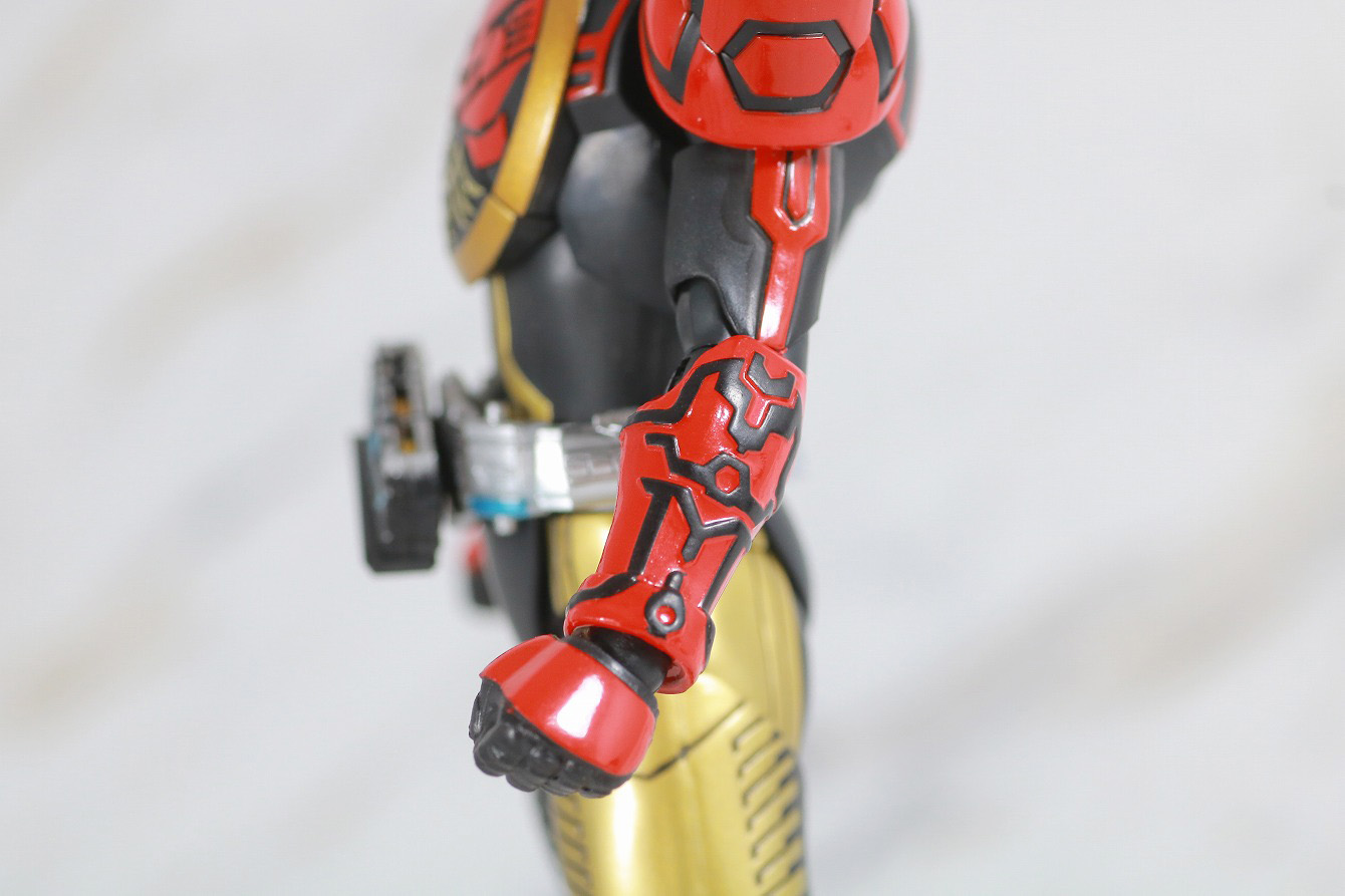 S.H.フィギュアーツ　仮面ライダーオーズ　タマシーコンボ　真骨彫製法　レビュー　本体