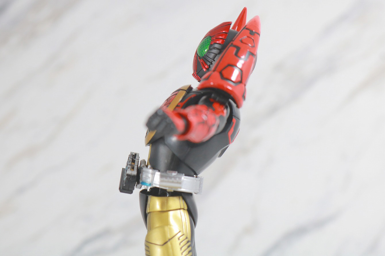 S.H.フィギュアーツ　仮面ライダーオーズ　タマシーコンボ　真骨彫製法　レビュー　可動範囲