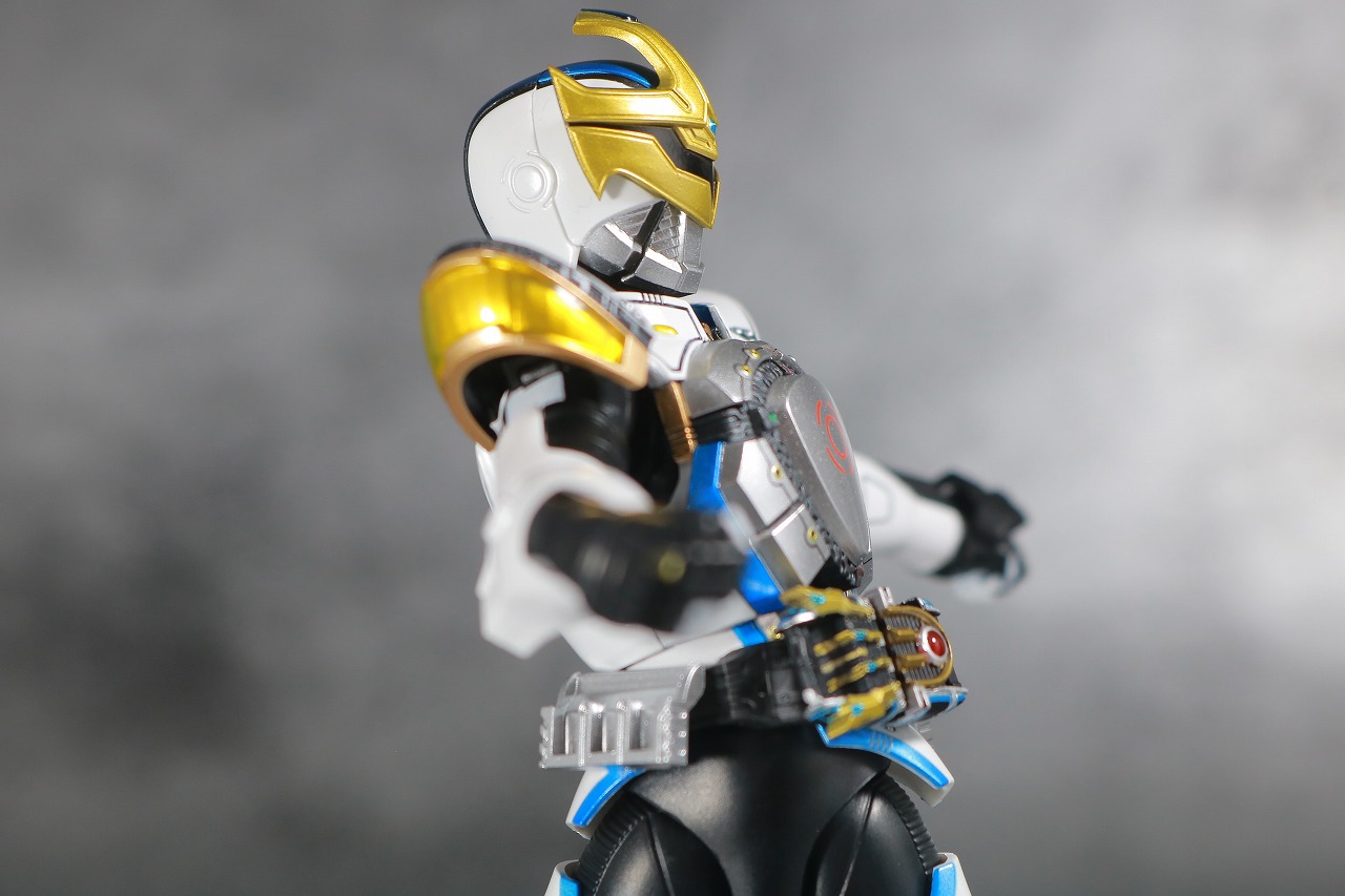 S.H.フィギュアーツ　仮面ライダーイクサ 真骨彫製法　レビュー　可動範囲