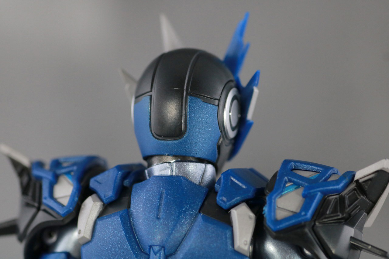 S.H.フィギュアーツ　仮面ライダーオルトロスバルカン　レビュー　本体