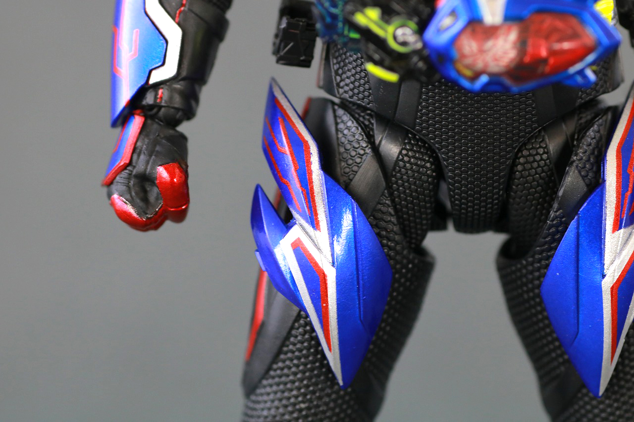 S.H.フィギュアーツ　仮面ライダーエデン　レビュー　本体