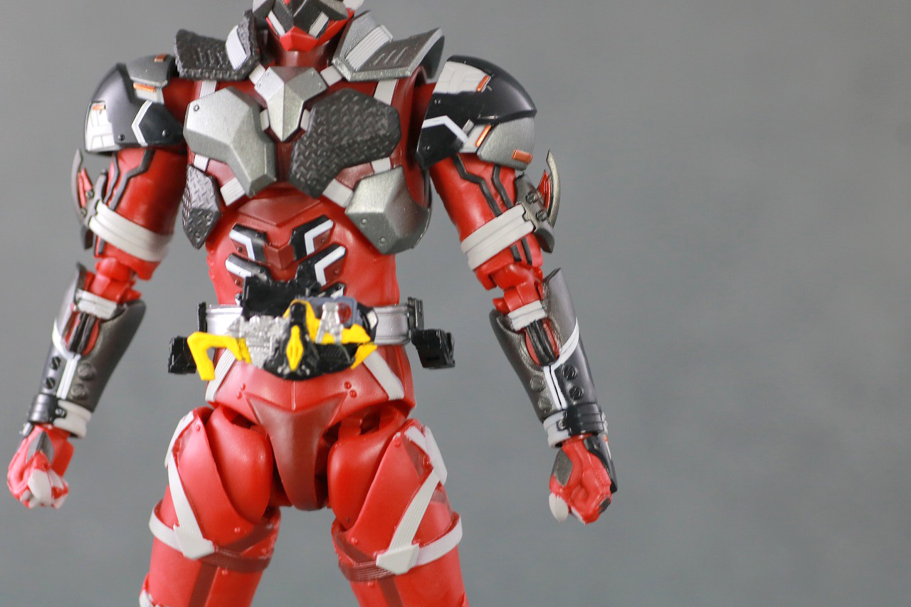 S.H.フィギュアーツ　仮面ライダー雷　レビュー　本体