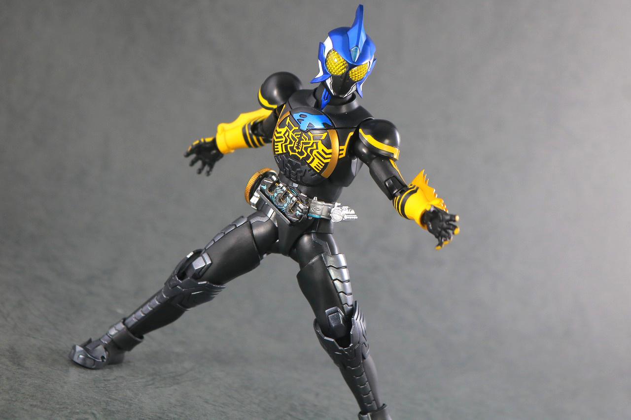 S.H.フィギュアーツ　仮面ライダーオーズ サゴーゾコンボ 真骨彫製法　レビュー　アクション