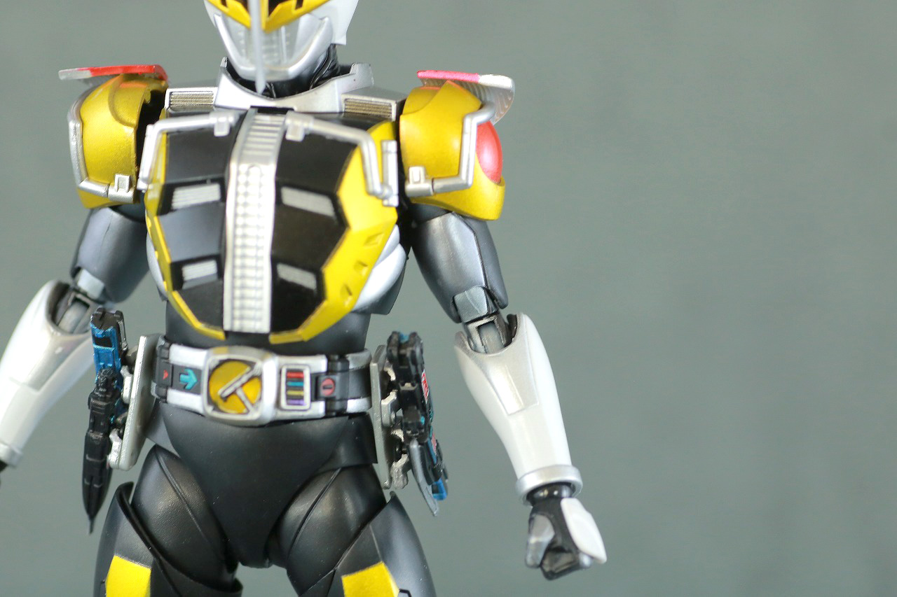 S.H.フィギュアーツ　仮面ライダー電王　アックスフォーム　真骨彫製法　レビュー　本体