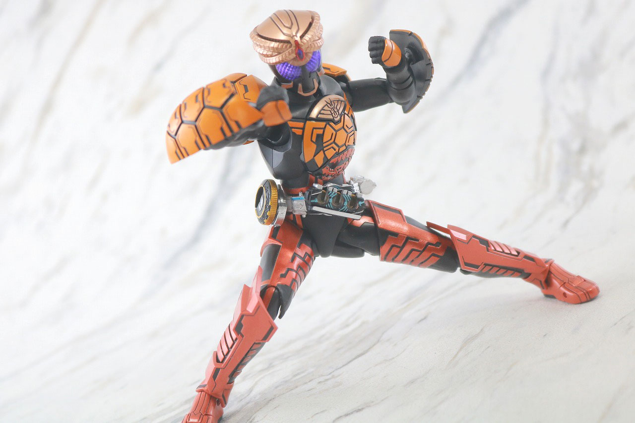 S.H.フィギュアーツ　仮面ライダーオーズ　ブラカワニコンボ　真骨彫製法　レビュー　アクション