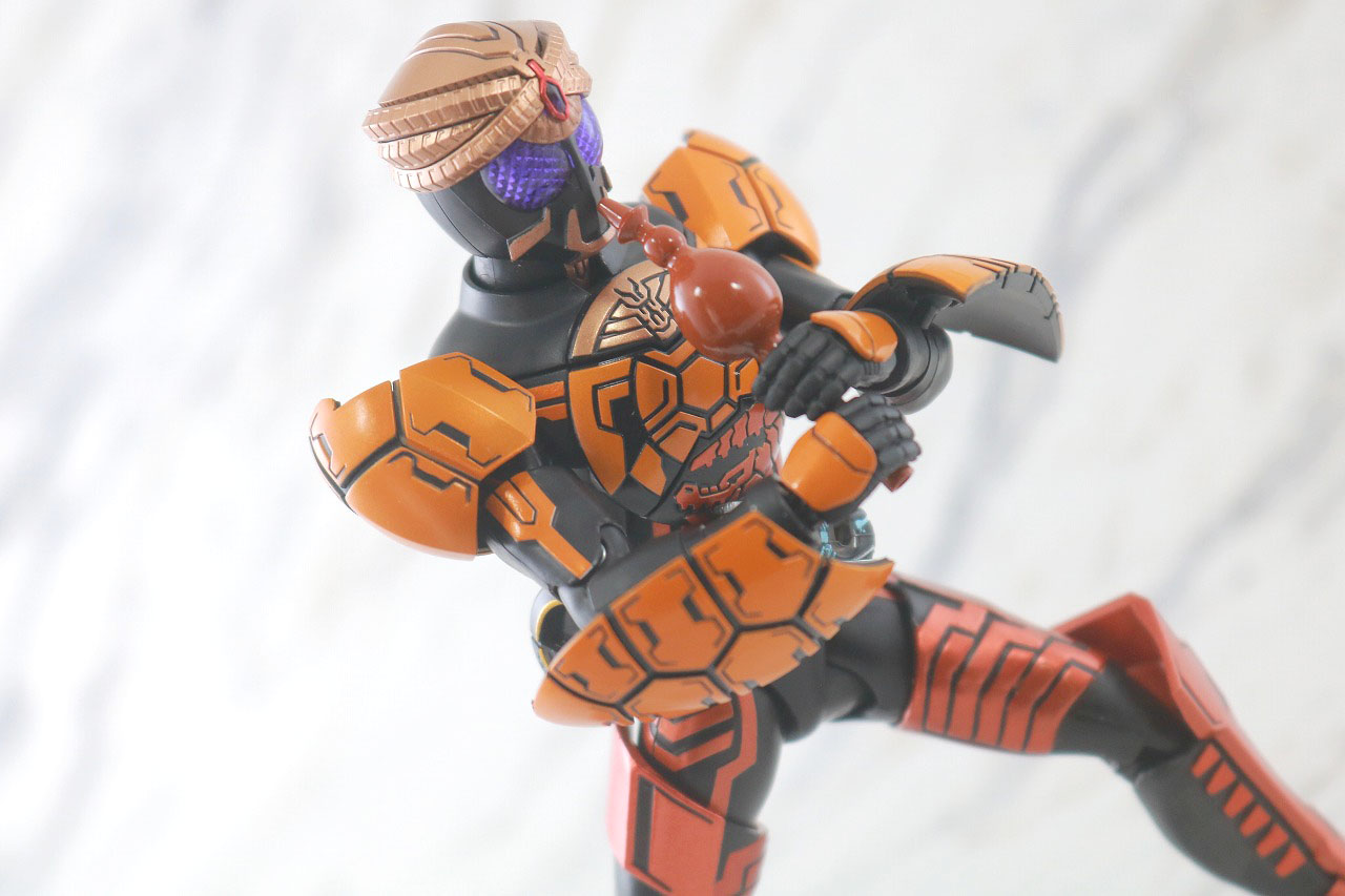 S.H.フィギュアーツ　仮面ライダーオーズ　ブラカワニコンボ　真骨彫製法　レビュー　アクション