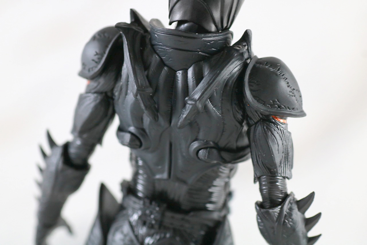 S.H.フィギュアーツ　仮面ライダーBLACK SUN　ブラックサン　レビュー　本体