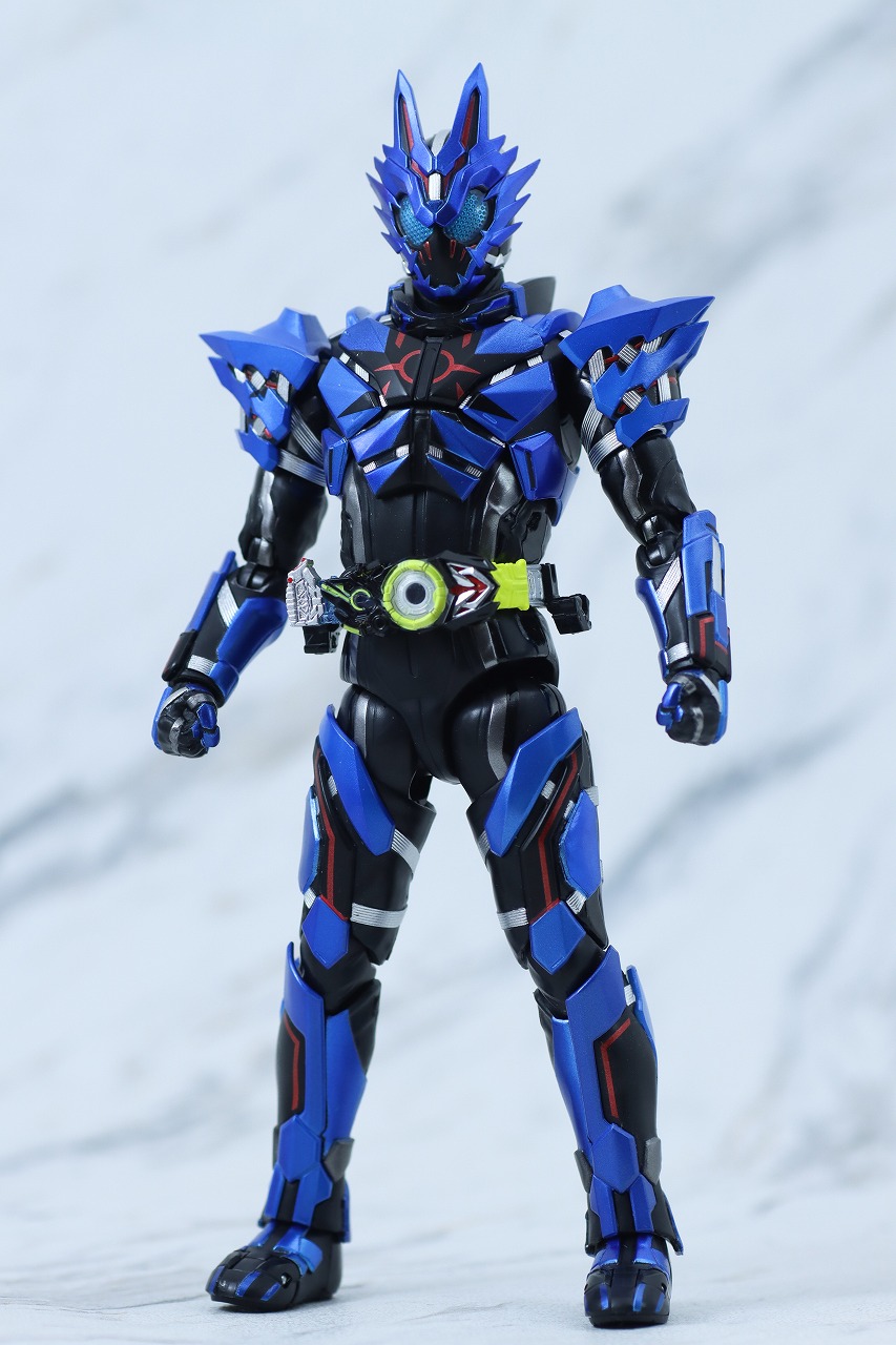 S.H.フィギュアーツ　仮面ライダーバルカン ローンウルフ　レビュー　本体