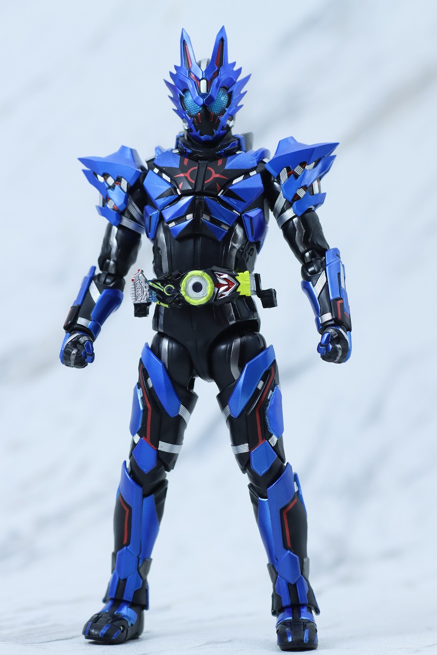 S.H.フィギュアーツ　仮面ライダーバルカン ローンウルフ　レビュー　本体