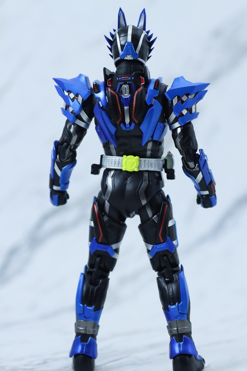 S.H.フィギュアーツ　仮面ライダーバルカン ローンウルフ　レビュー　本体