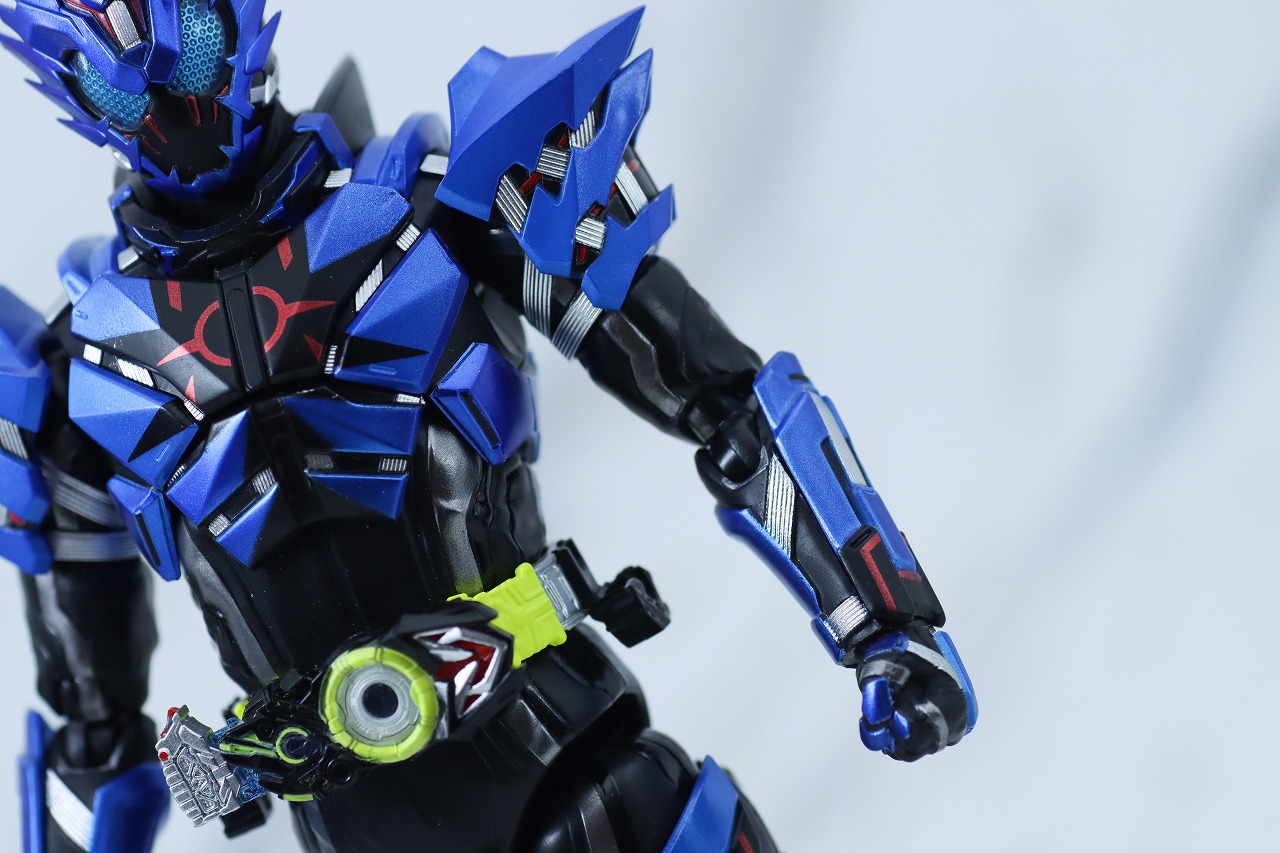 S.H.フィギュアーツ　仮面ライダーバルカン ローンウルフ　レビュー　本体