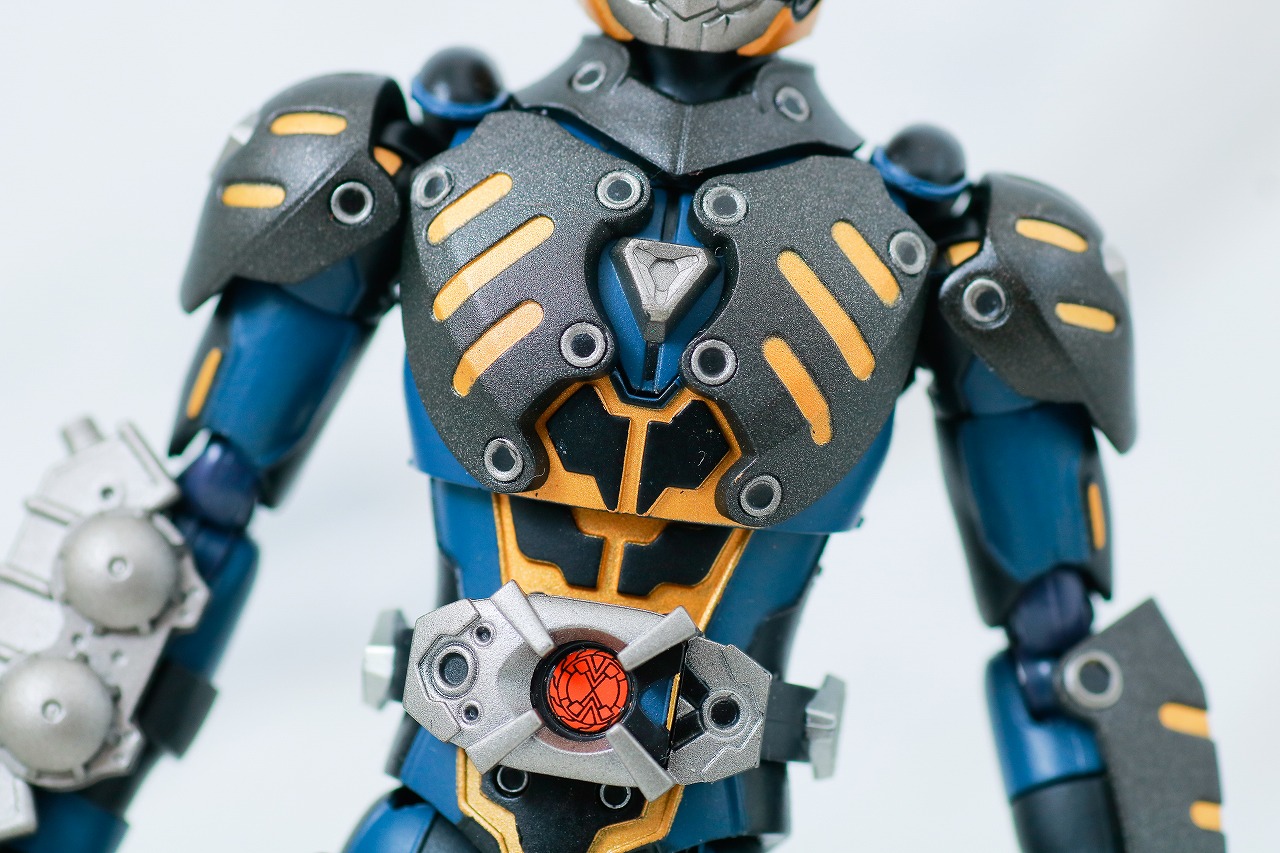 S.H.フィギュアーツ オルタナティブ レビュー 本体