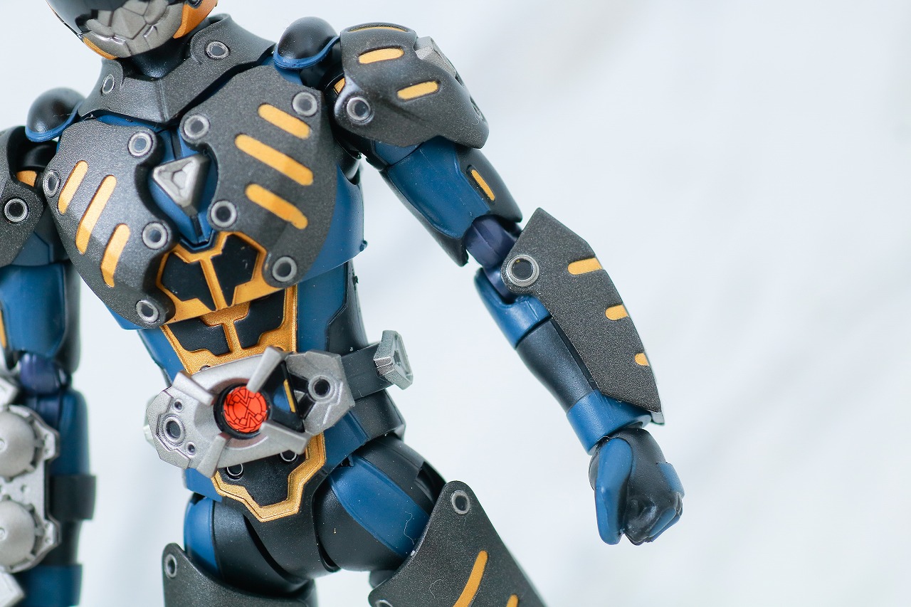 S.H.フィギュアーツ オルタナティブ レビュー 本体